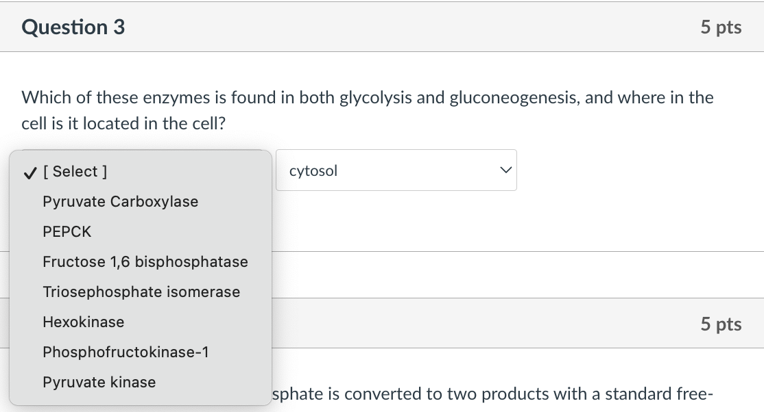Solved Question 3Which of these enzymes is found in both | Chegg.com