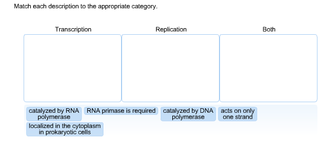 Solved Match Each Description To The Appropriate Category | Chegg.com