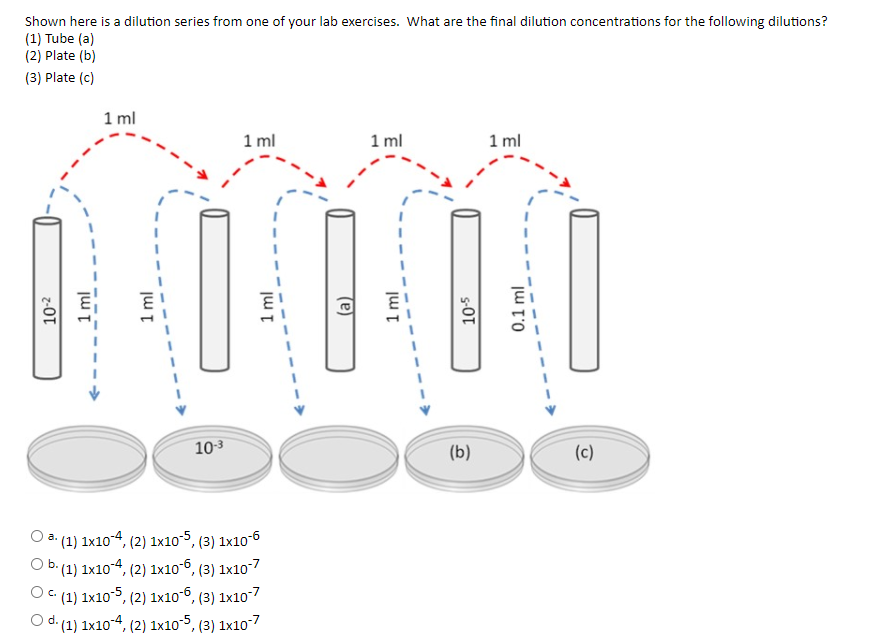 Solved Shown Here Is A Dilution Series From One Of Your Lab | Chegg.com