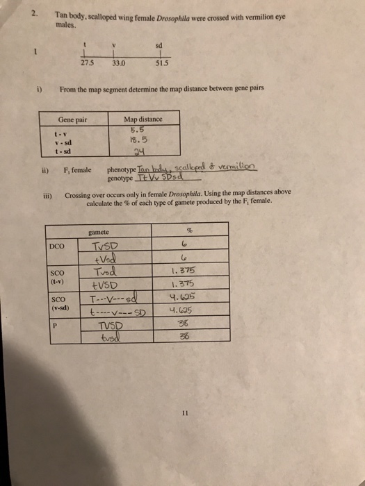 Solved I’ve done the first parts of this question, #2. | Chegg.com