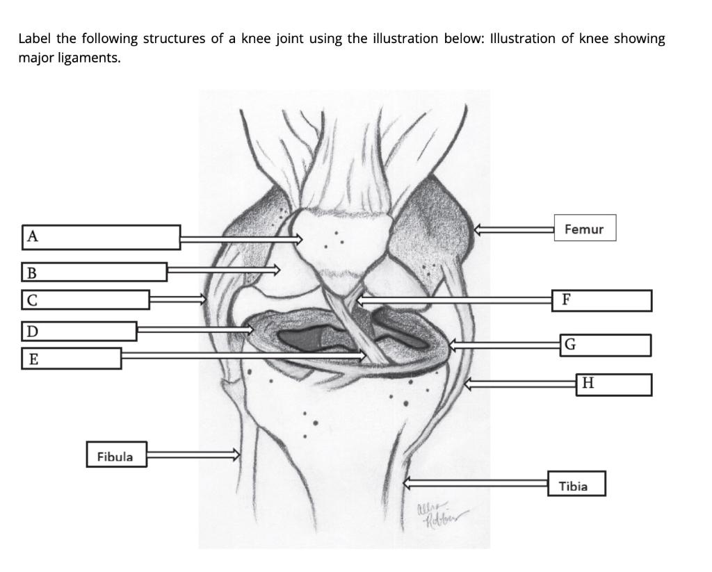 Solved Part 1 - The Injury John McKnight was a stellar | Chegg.com