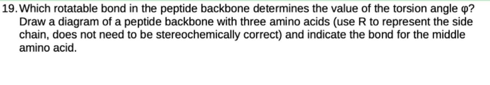 Solved 9 . Which rotatable bond in the peptide backbone | Chegg.com