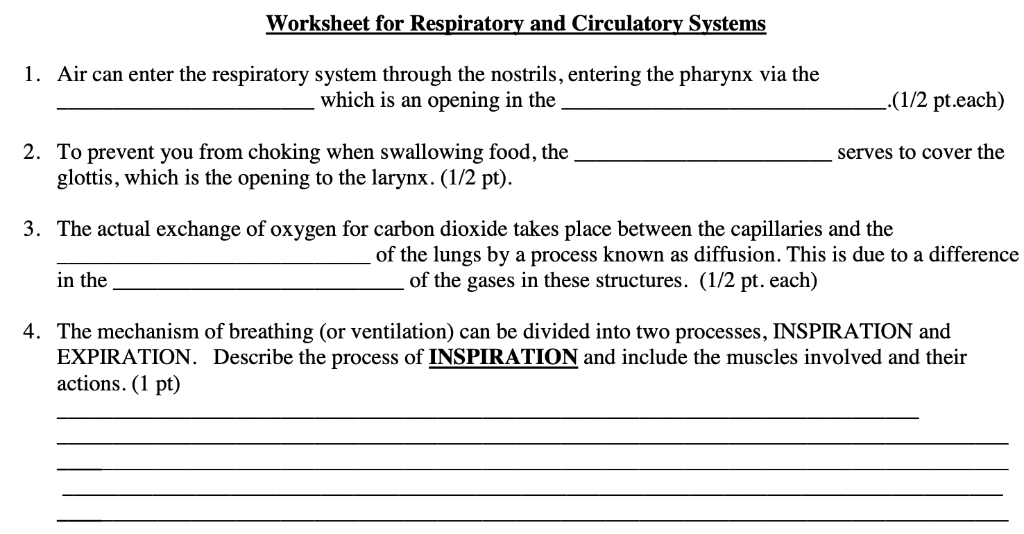 solved-worksheet-for-respiratory-and-circulatory-systems-1-chegg