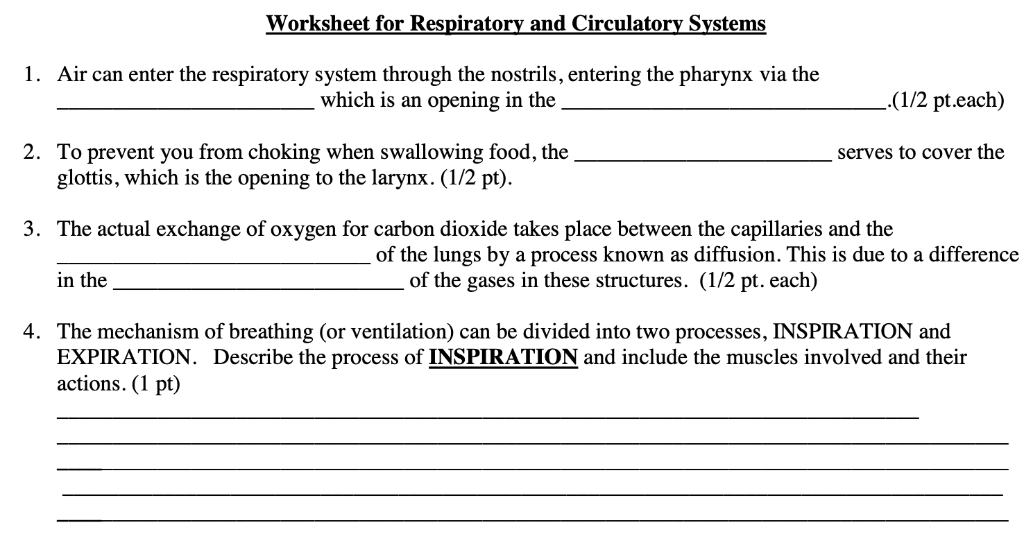 Anatomy Circulatory System Questions