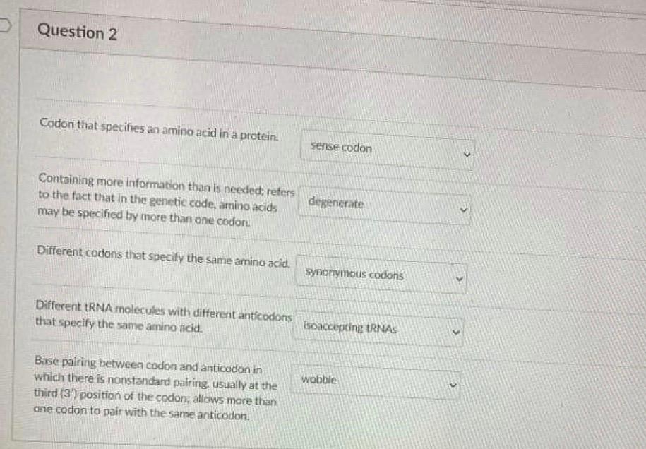 Solved Question 2 Codon that specifies an amino acid in a | Chegg.com