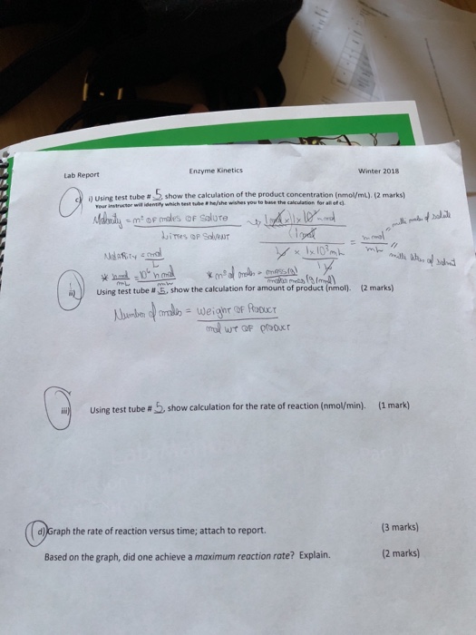 Enzyme Winter 2018 Lab Report test tube