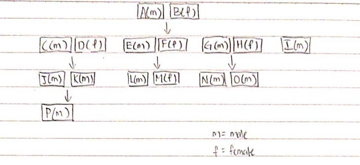 Solved Write a complete C program to create your family tree | Chegg.com