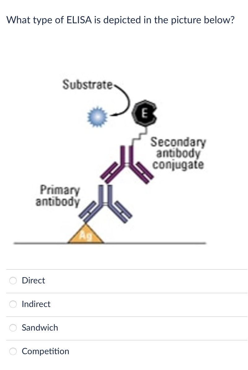 Solved What type of ELISA is depicted in the picture below? | Chegg.com