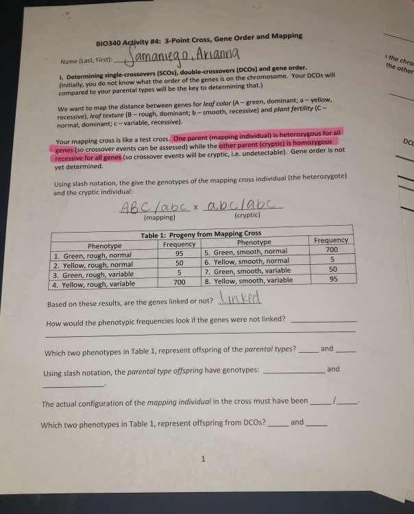 Solved BIO340 Activity #4: 3-Point Cross, Gene Order And | Chegg.com