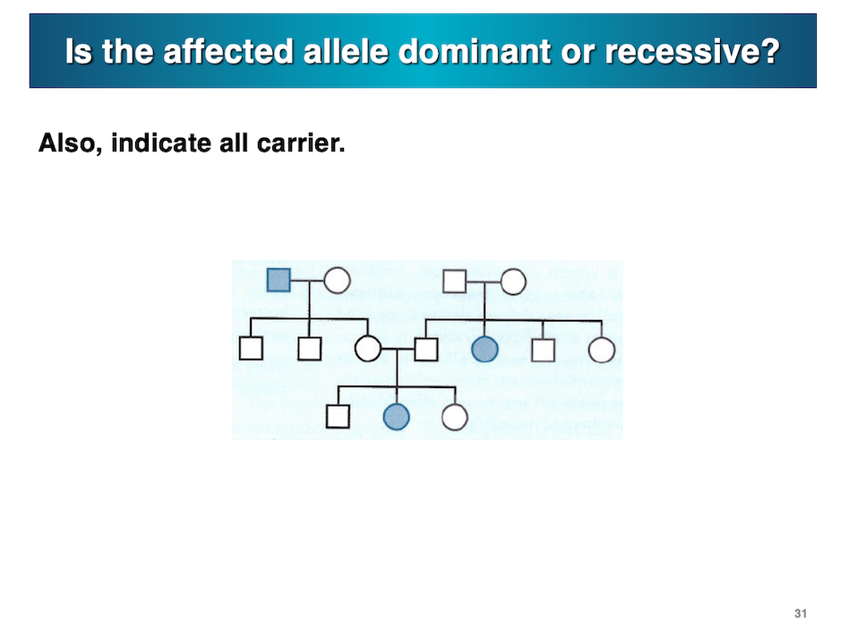 Solved Is the affected allele dominant or recessive? Also, | Chegg.com
