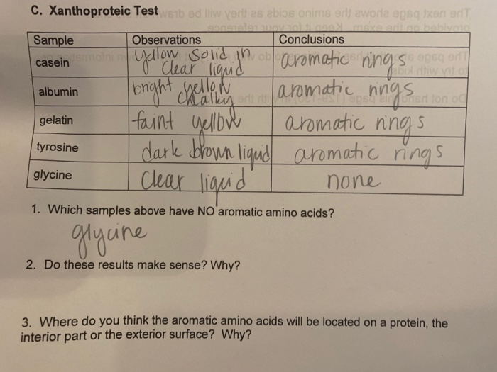 Solved С. Xanthoproteic Test Sample casein Observations