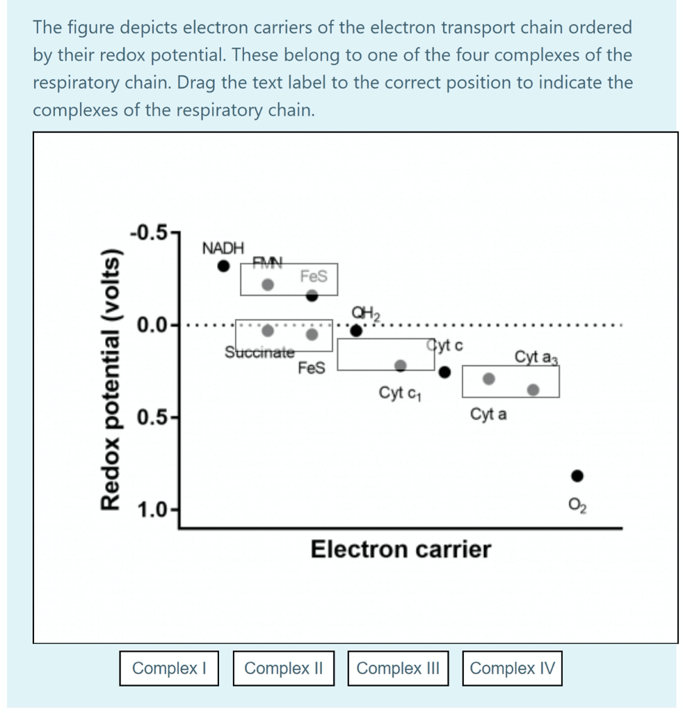Solved The figure depicts electron carriers of the electron | Chegg.com