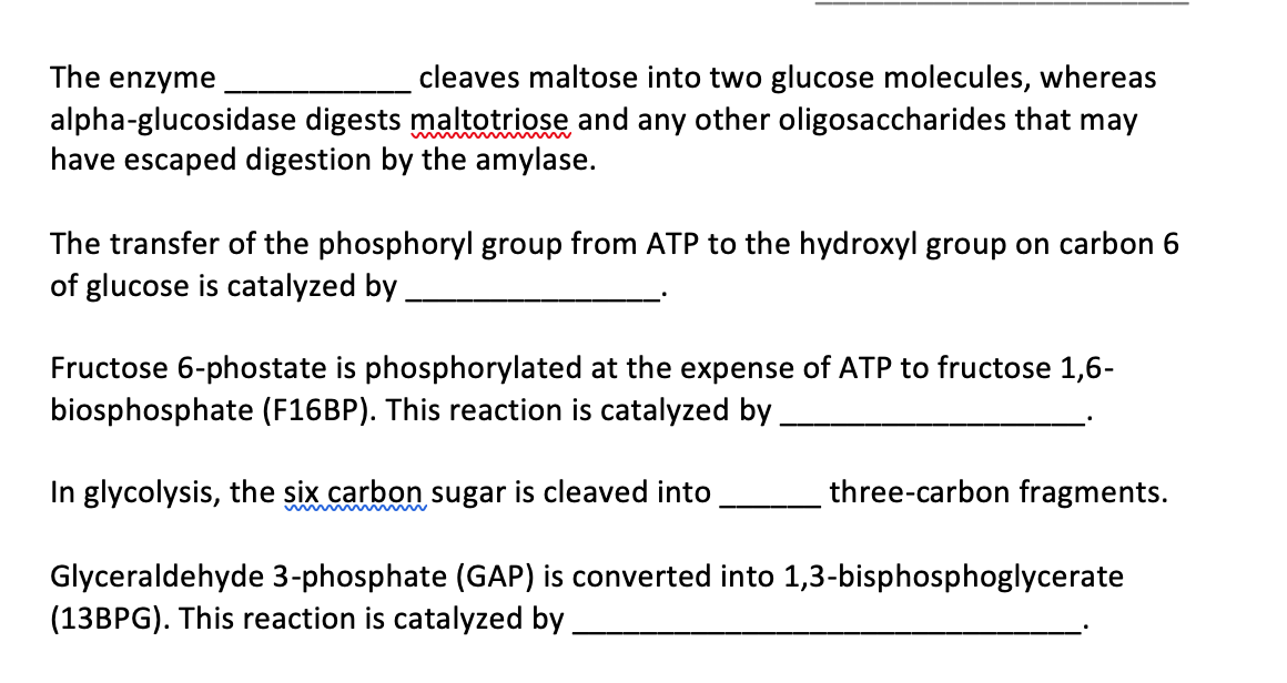 Solved The enzyme __cleaves maltose into two glucose | Chegg.com