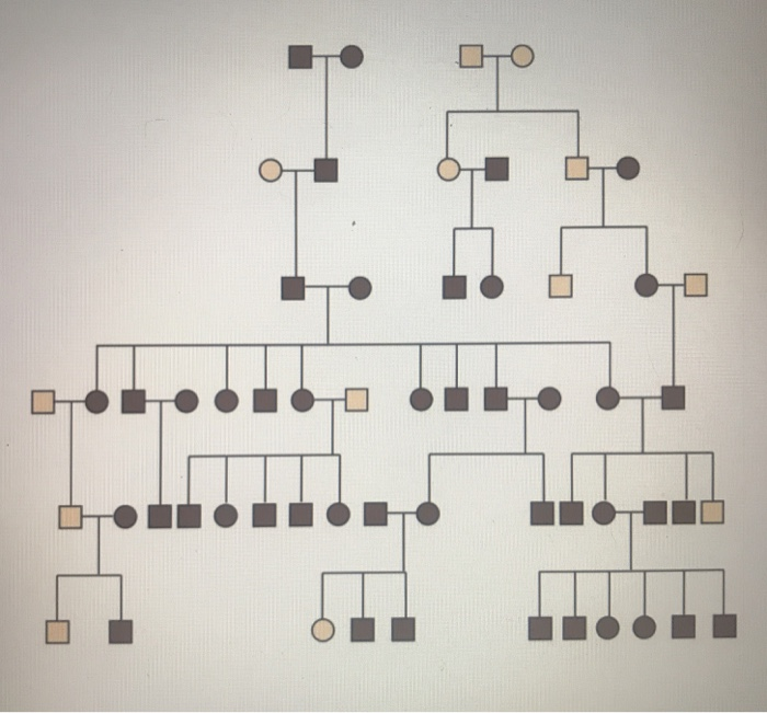 Solved For each pedigree below determine the most likely | Chegg.com