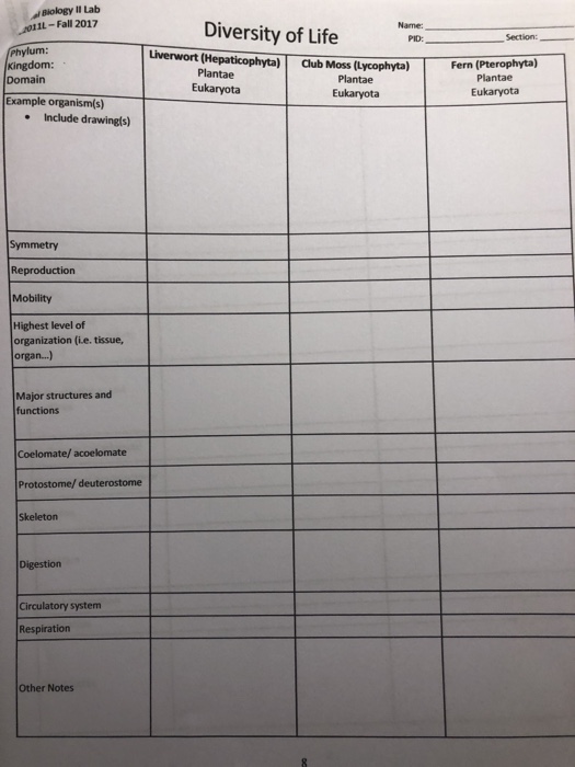 Solved Biology l Lab Diversity of Life | Chegg.com