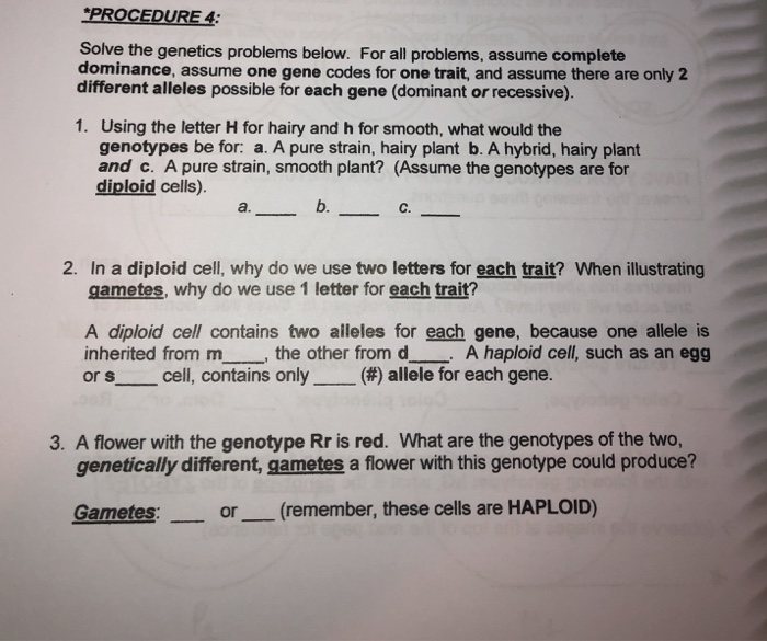 Solved PROCEDURE 4 Solve The Genetics Problems Below. For | Chegg.com