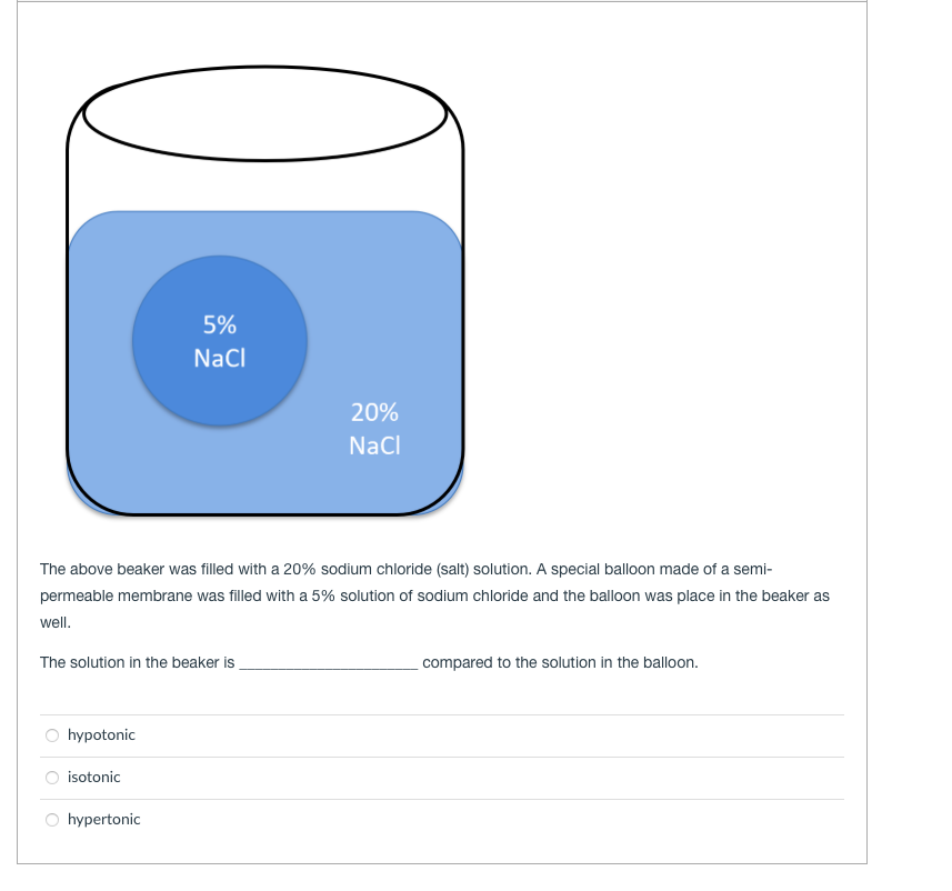 Solved 5% NaCl 20% Naci The above beaker was filled with a | Chegg.com
