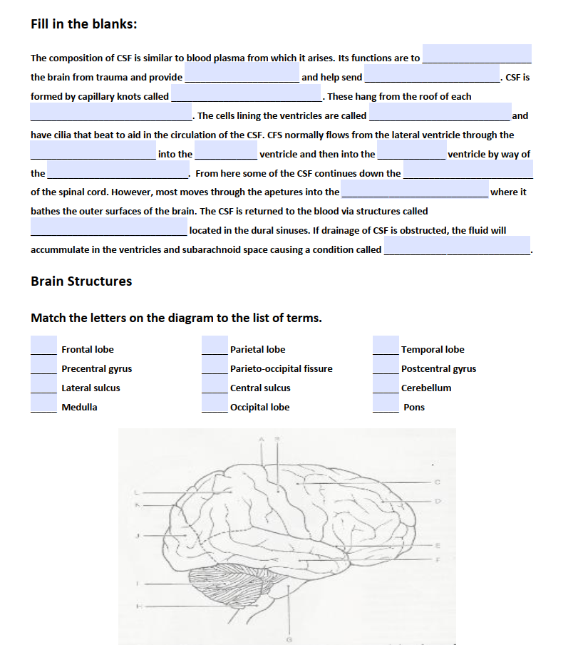 Solved Identify the meningeal (or associated) structures | Chegg.com