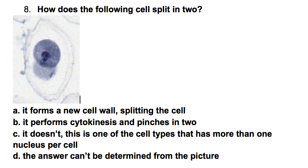 Solved 8. How does the following cell split in two? a. it | Chegg.com