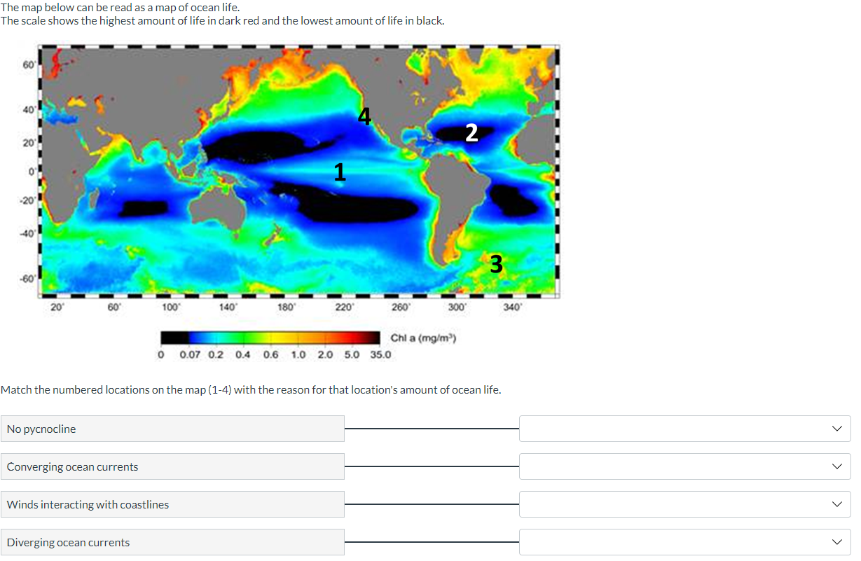 Solved The map below can be read as a map of ocean life. The | Chegg.com