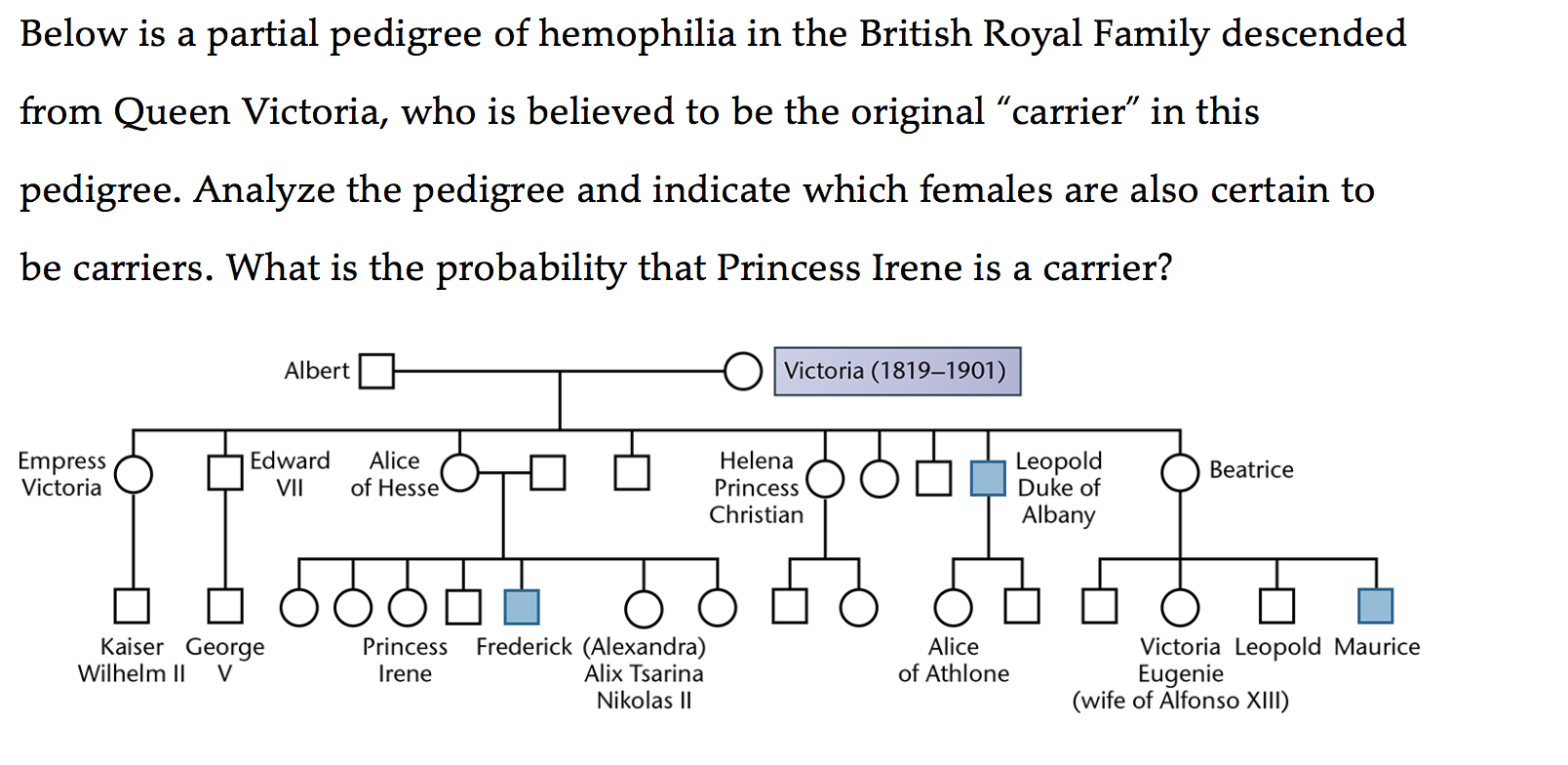 Below is a partial pedigree of hemophilia in the