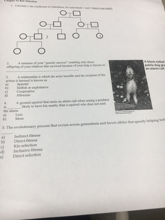 Solved Lhapter 12 Kin Selection 1. Calculate r, the | Chegg.com