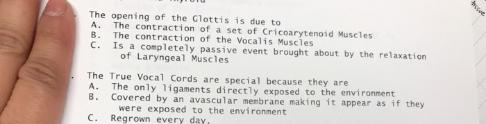 Solved The opening of the Glottis is due to A. The | Chegg.com
