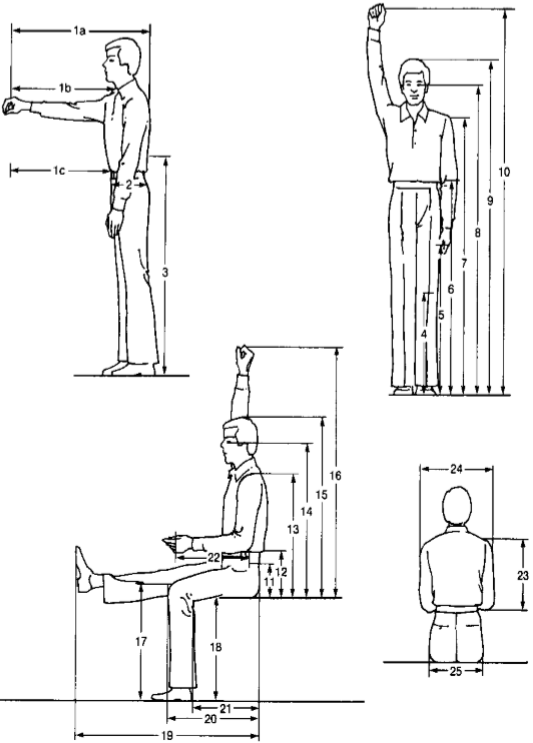 Anthropometric Problem - Human Factors | Chegg.com