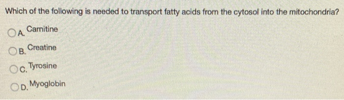 Solved Which of the following is needed to transport fatty | Chegg.com