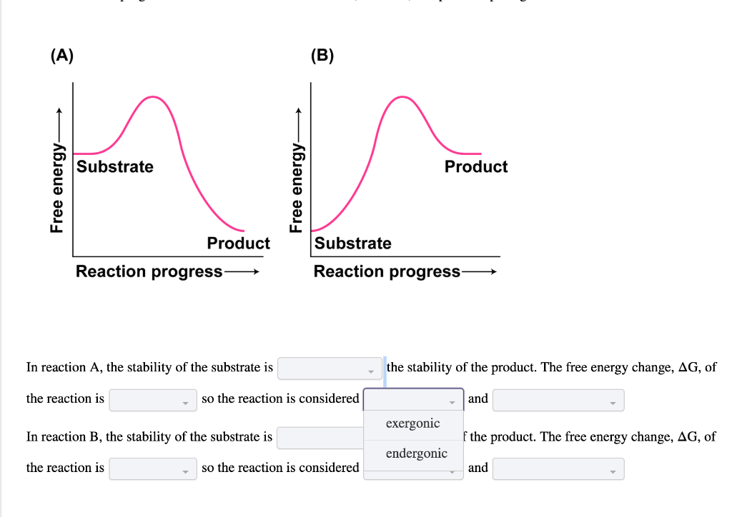 reactions-graphics-video_480.gif.png - The Gain Blog