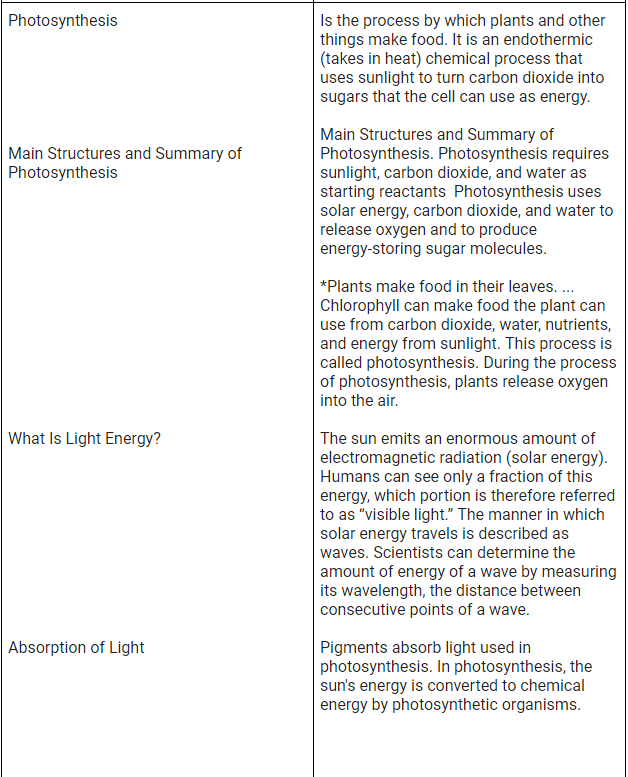 long text (essay) describe the inputs and outputs of photosynthesis