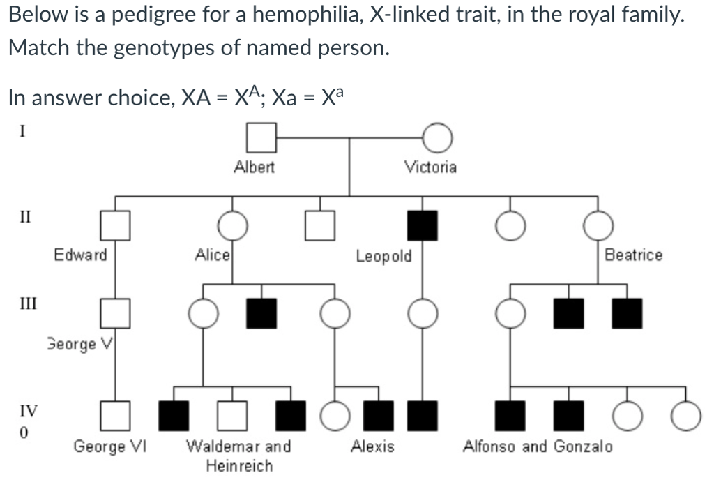 hemophilia pedigree chart royal family Focus