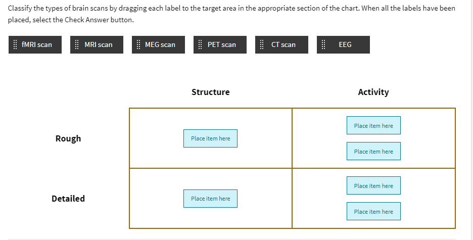 Solved Classify the types of brain scans by dragging each | Chegg.com