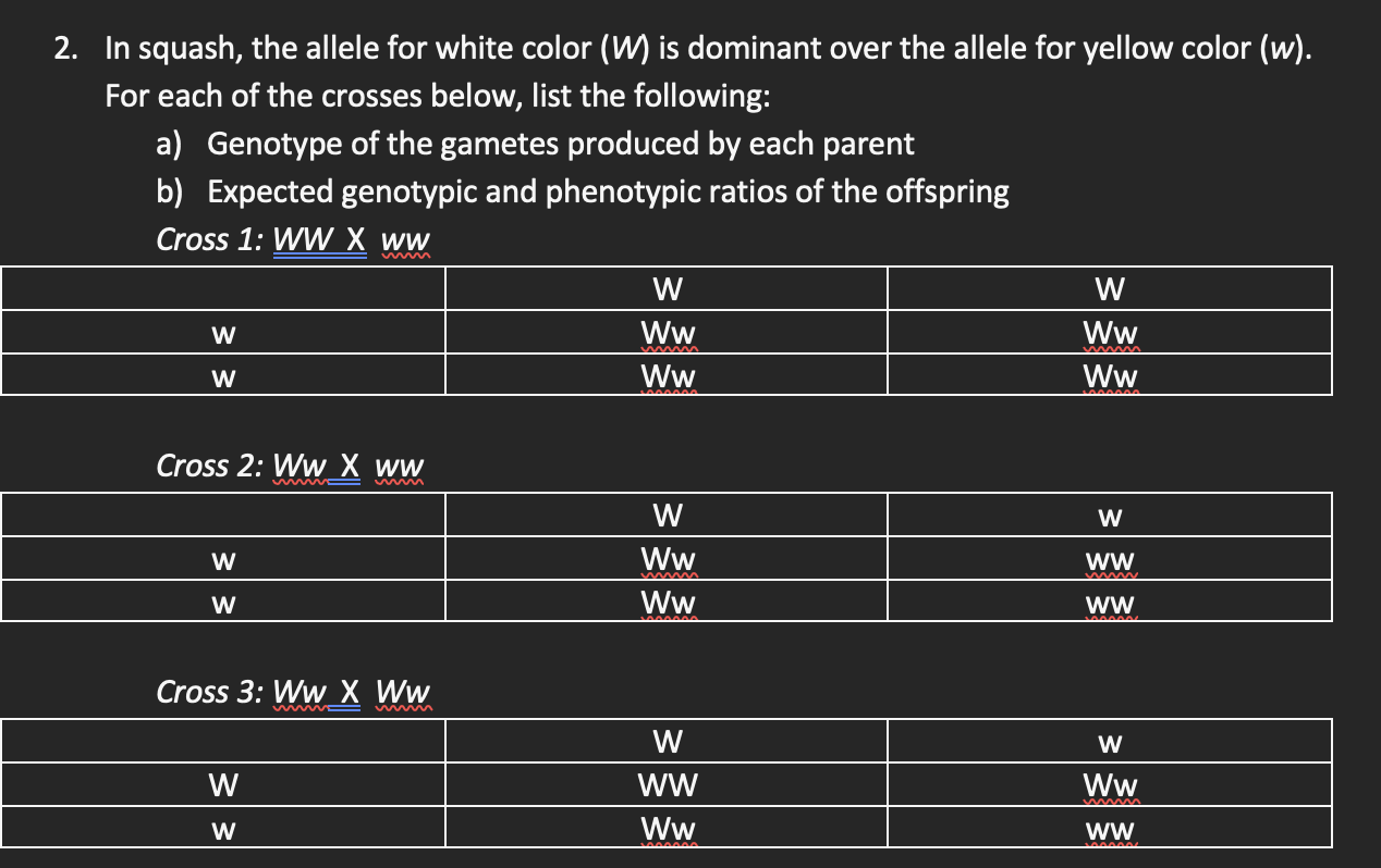 Solved 2. In squash, the allele for white color (W) is | Chegg.com