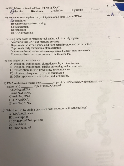 Solved 5) 5) Which base is found in DNA, but not in RNA? E)