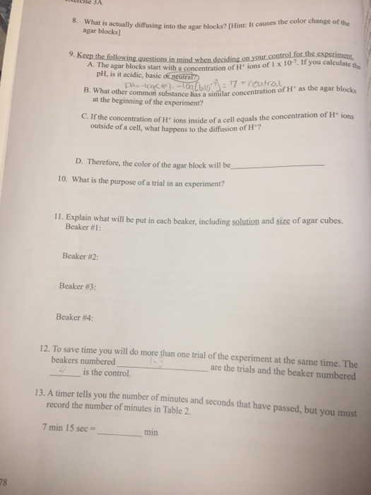 Solved 8. What is actually diffusing into the (Hint It | Chegg.com