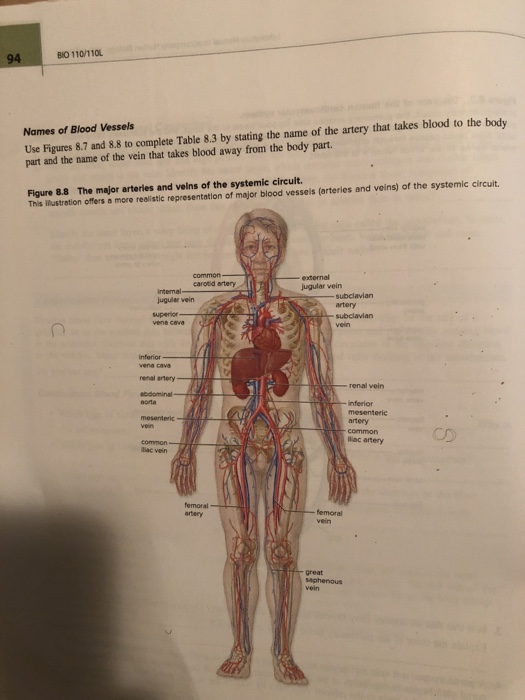 Solved Laboratory Manual to Human Biology, 15th