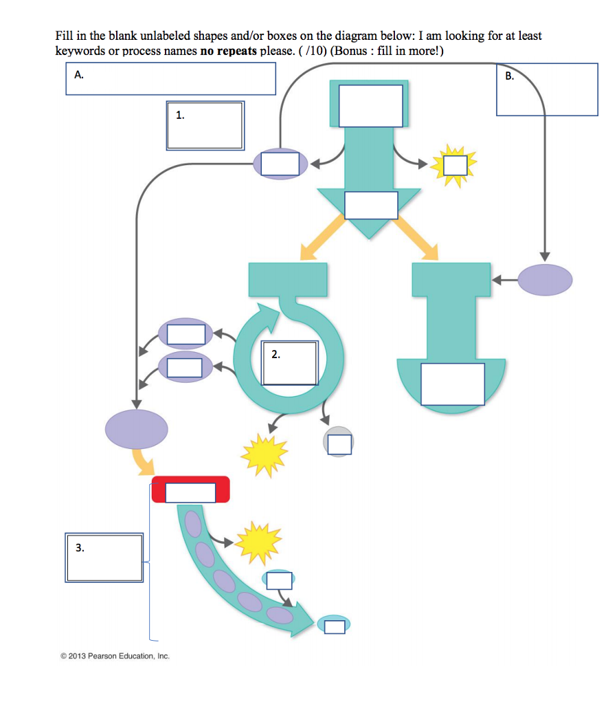 Solved Fill in the blanks shapes/boxes on the
