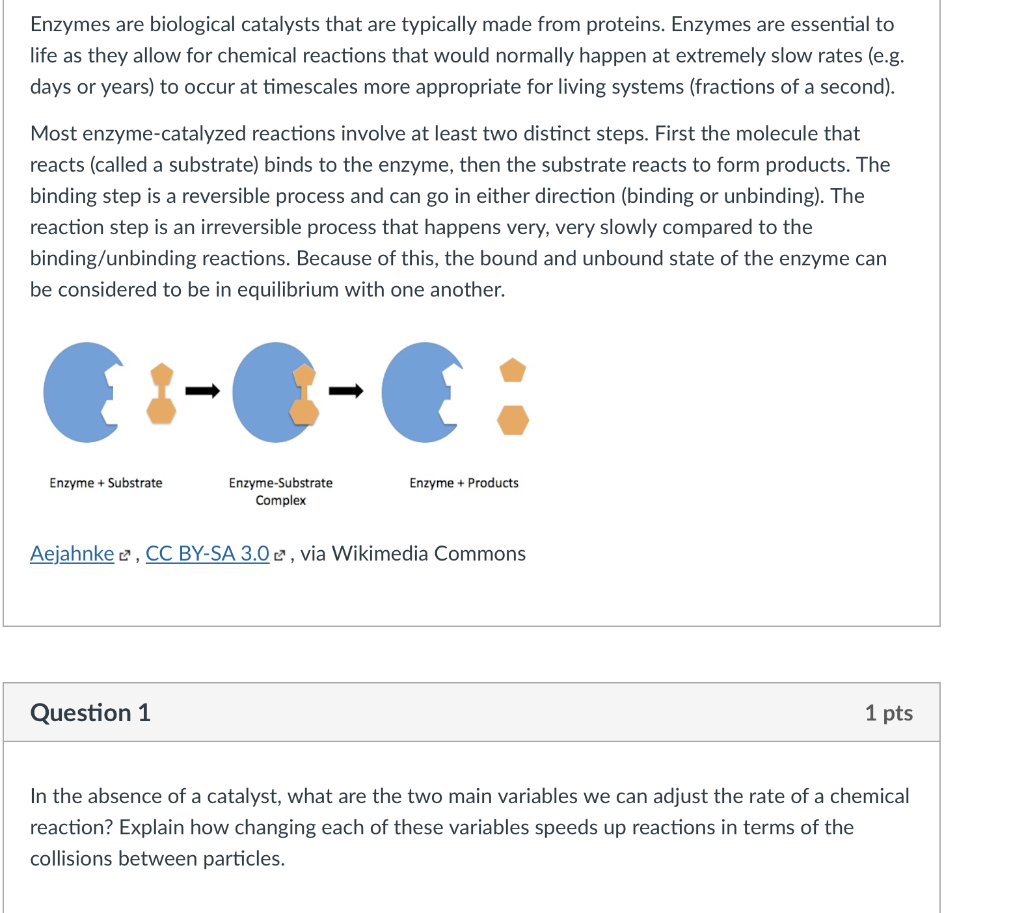 Solved Enzymes Are Biological Catalysts That Are Typically Chegg Com