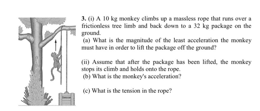 Solved 3. (i) A 10 kg monkey climbs up a massless rope that | Chegg.com