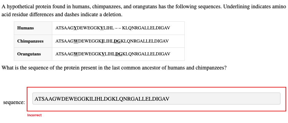 A hypothetical protein found in humans, chimpanzees, | Chegg.com