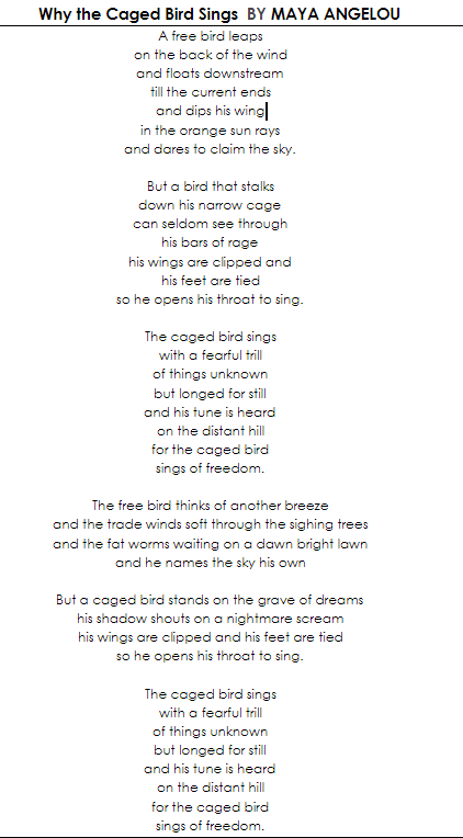 Why The Caged Bird Sings By Maya Angelou A Free Bird 