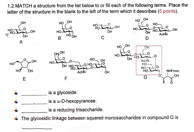 Solved 1.2 MATCH a structure from the list below to or fill | Chegg.com