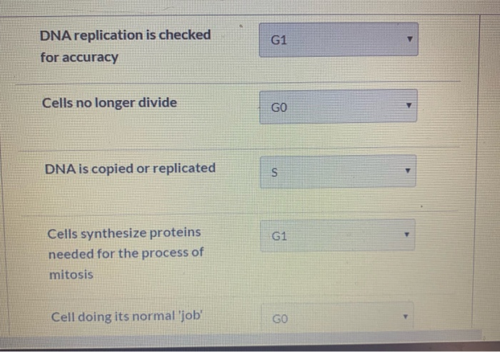 Solved DNA replication is checked G1 for accuracy Cells no | Chegg.com