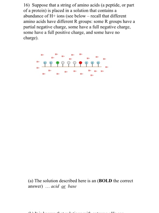 Solved 16) Suppose that a string of amino acids (a of a | Chegg.com