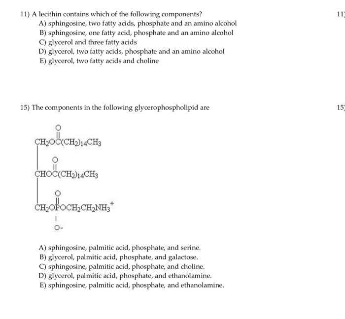 A Lecithin Contains Which of the Following Components