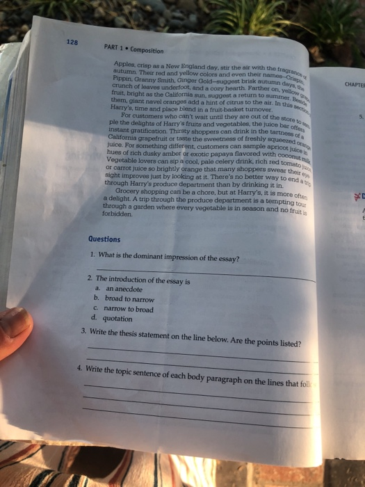 dominant impression essay examples