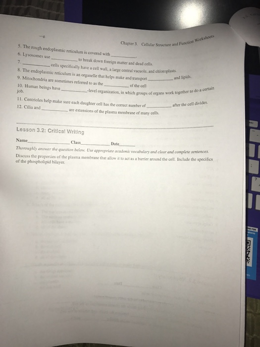 Chapter 3 Cell Structure And Function Worksheet Answers Nidecmege