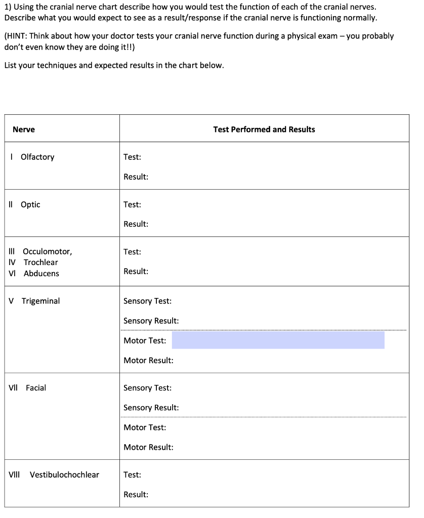 Experimental results of the head–neck posture monitoring and