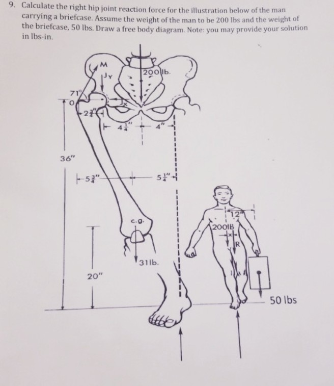 Solved Calculate the right hip joint reaction force for the | Chegg.com